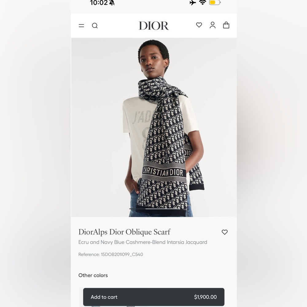 Dior scarf